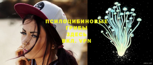 тгк Алзамай