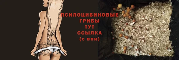 соль ск Алексеевка