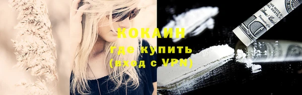 тгк Алзамай
