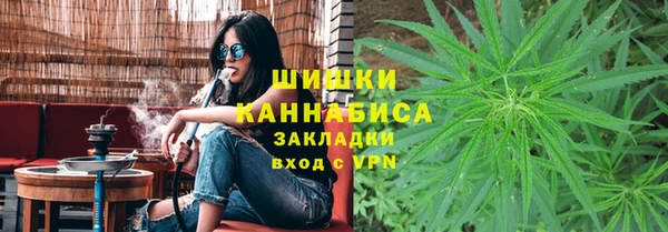 сатива Алексин