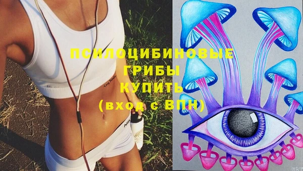 тгк Алзамай