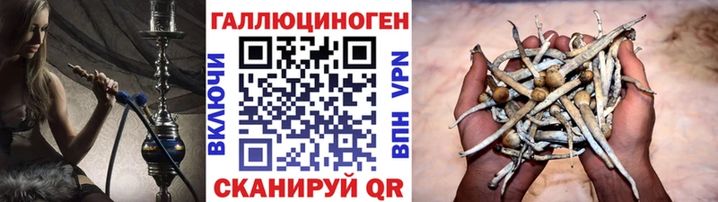 Псилоцибиновые грибы мицелий  KRAKEN ONION  Костерёво 